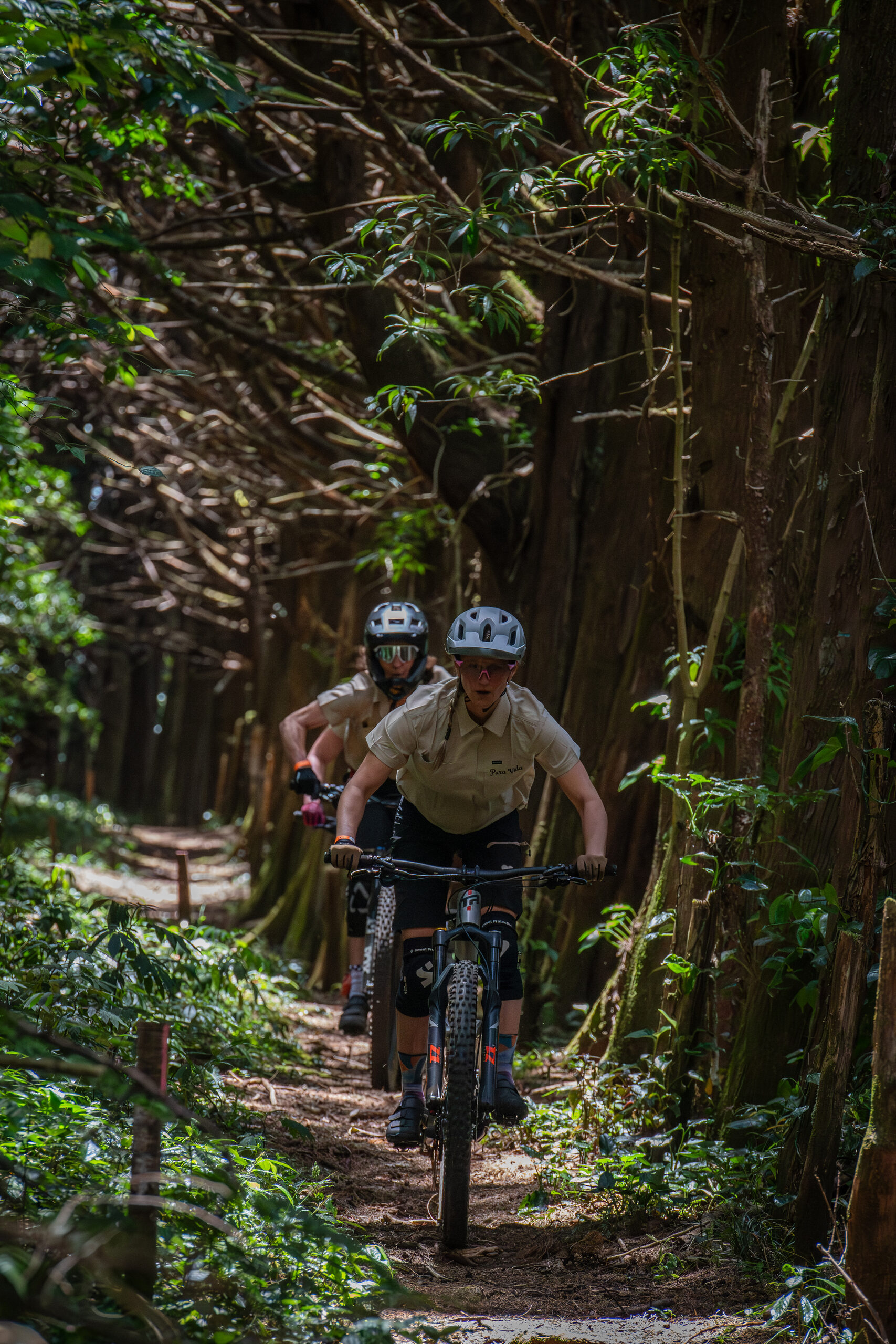 Flowing singletrack through the trees