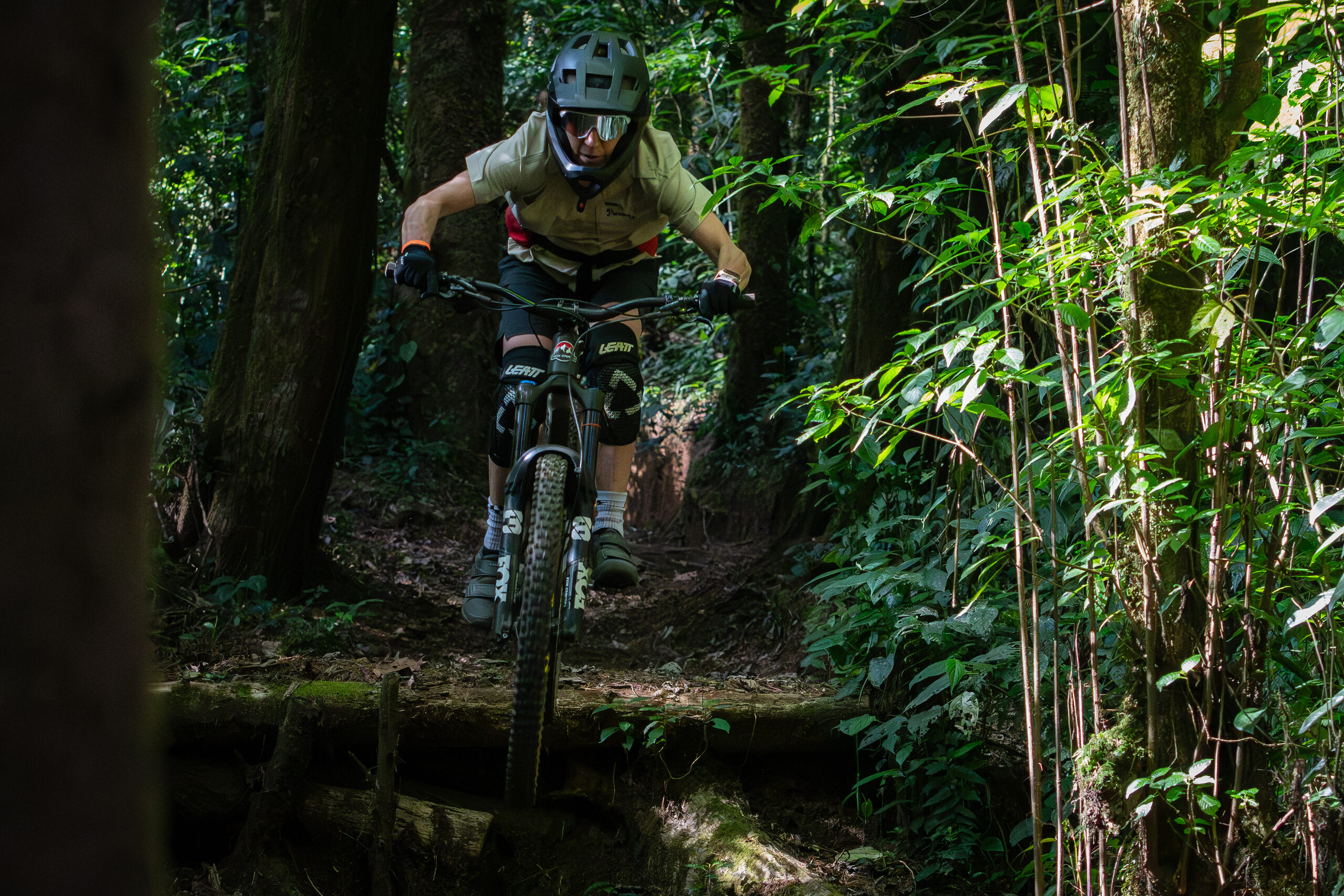Railing a jungle corner