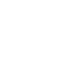 Adventure Meraki